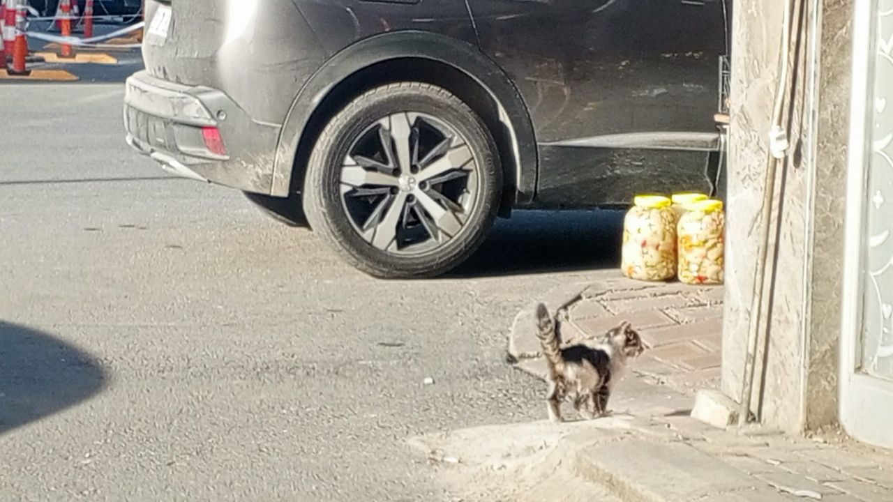 Kırklareli Sokaklarında Bir Yalnızlık Karesi