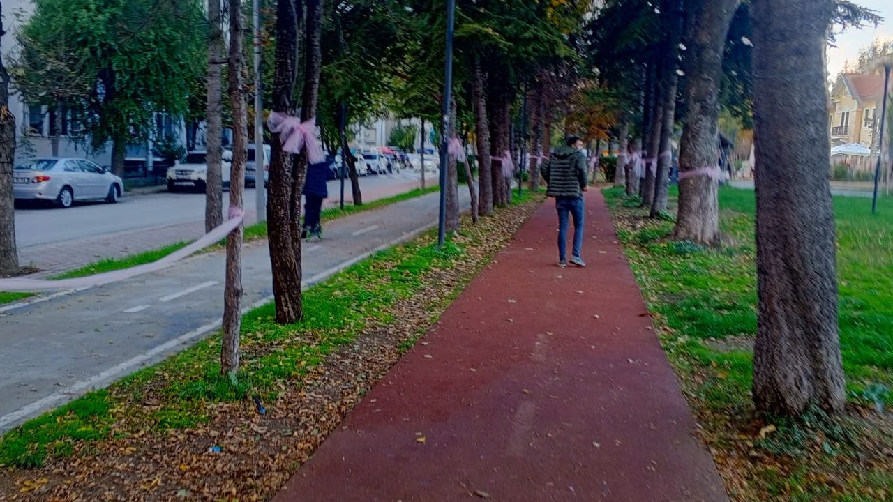 Millet Bahçesi’ndeki Ağaçlara Pembe Uyarı Panoları