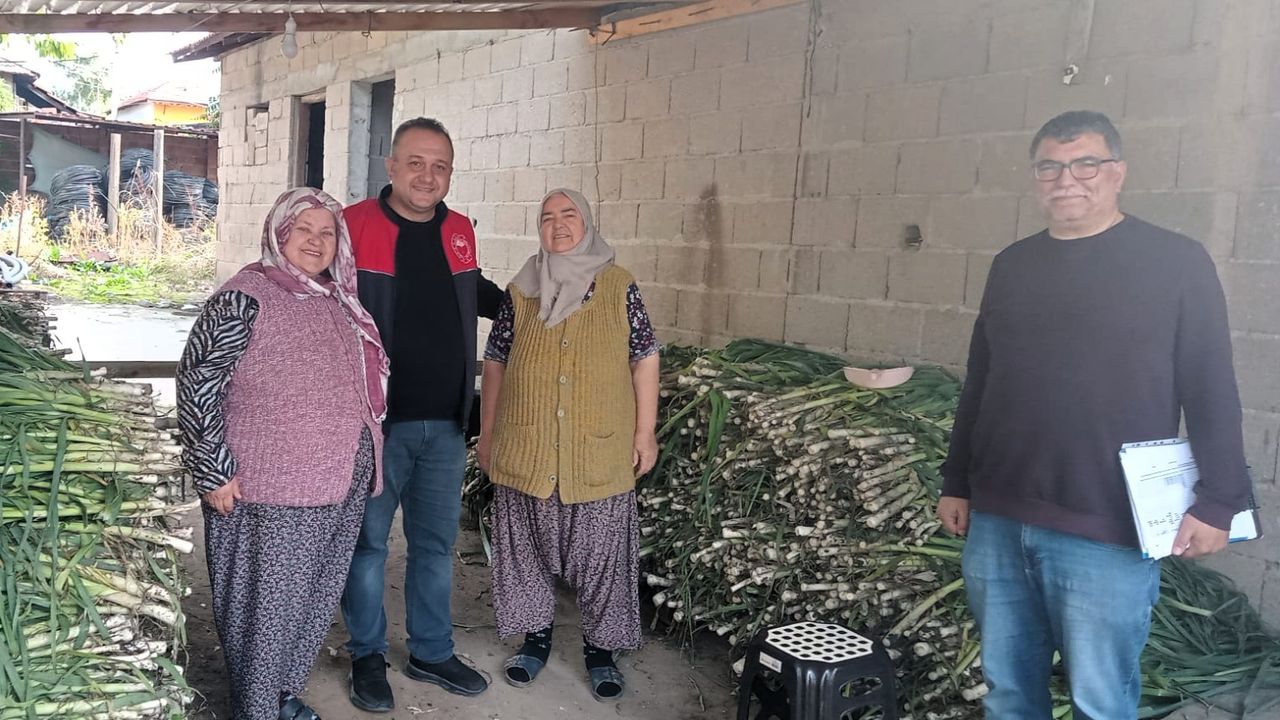 Lüleburgaz’da Beyaz Pırasa Hasat Kontrolü Yapıldı