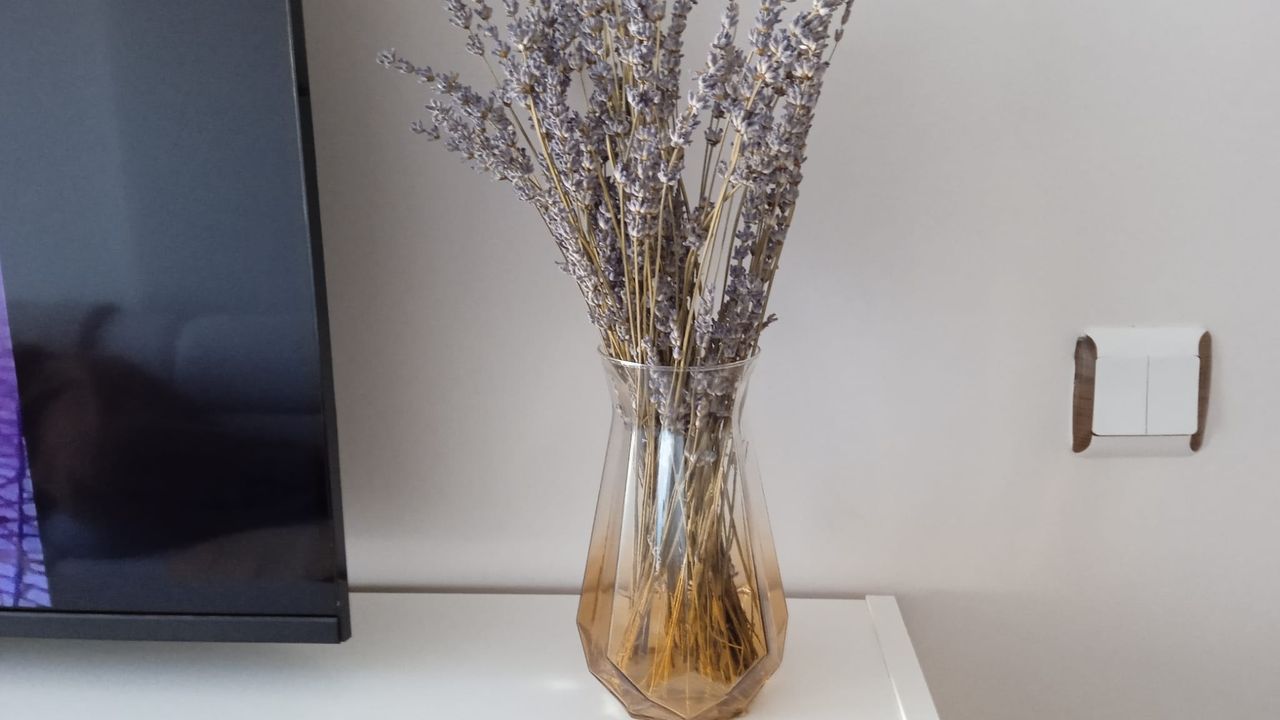 Kırklareli’nde Ev Dekorasyonunda Lavanta Şıklığı