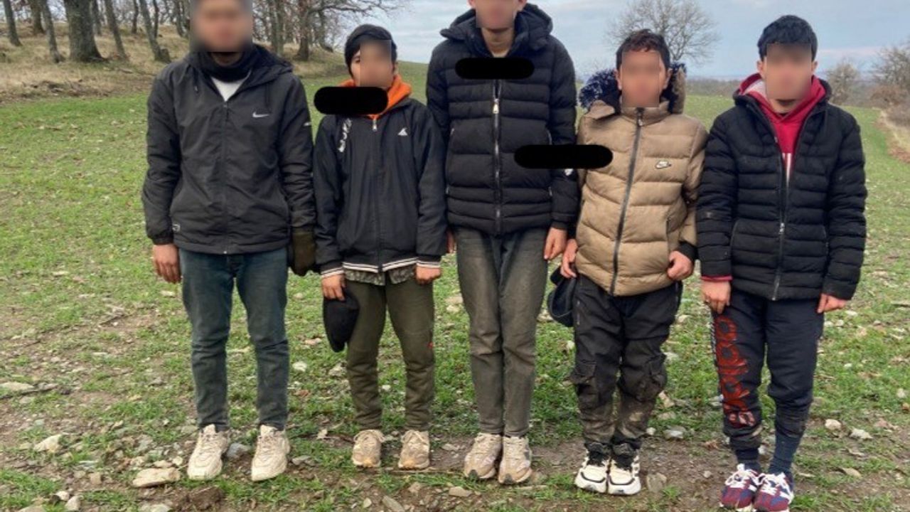 Kırklareli'nde 5 kaçak göçmen yakalandı