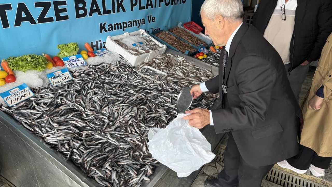 Denizlerde balık bolluğu: Hamsinin fiyatı 89 liraya düştü