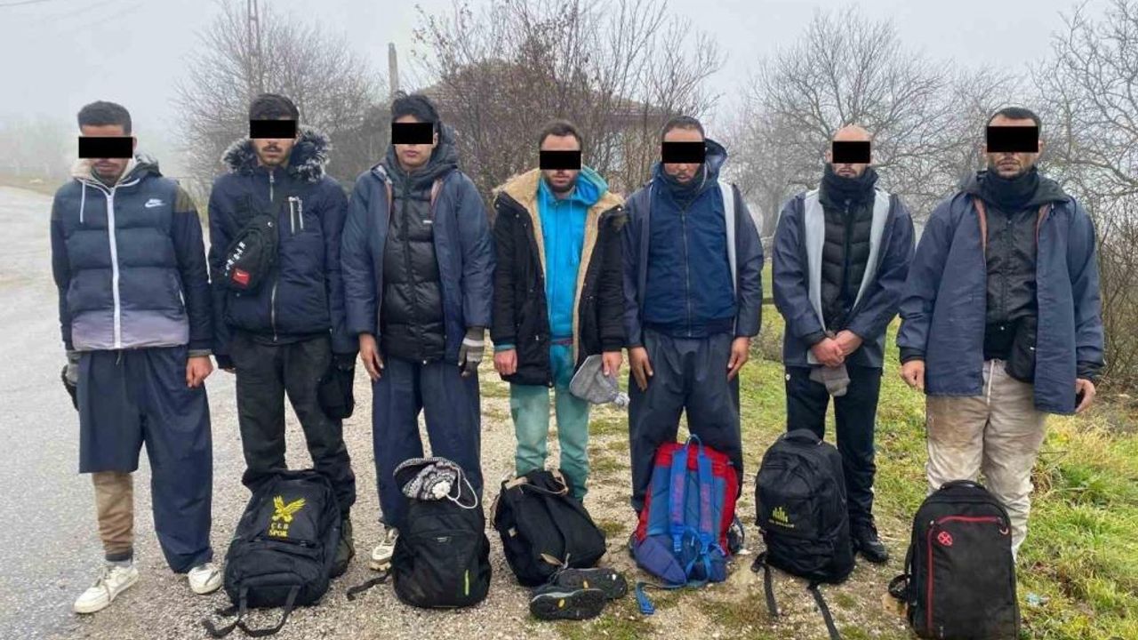 Kırklareli'nde 9 kaçak göçmen yakalandı