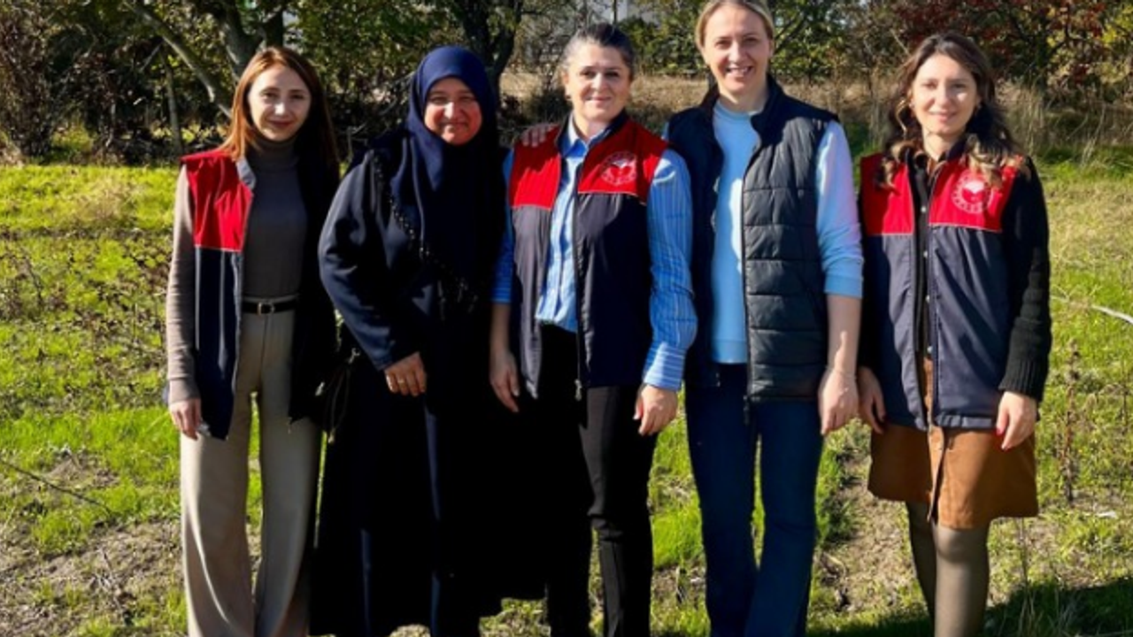 Vize’de Safran Hasadı Başladı