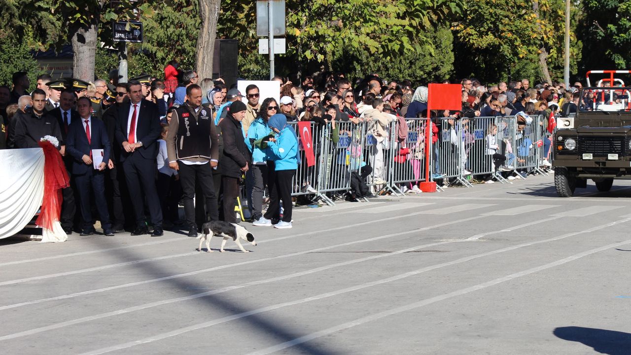 Cumhuriyet Bayramı Töreninde Uzun Süredir Görünmeyen Sokak Köpekleri Dikkat Çekti