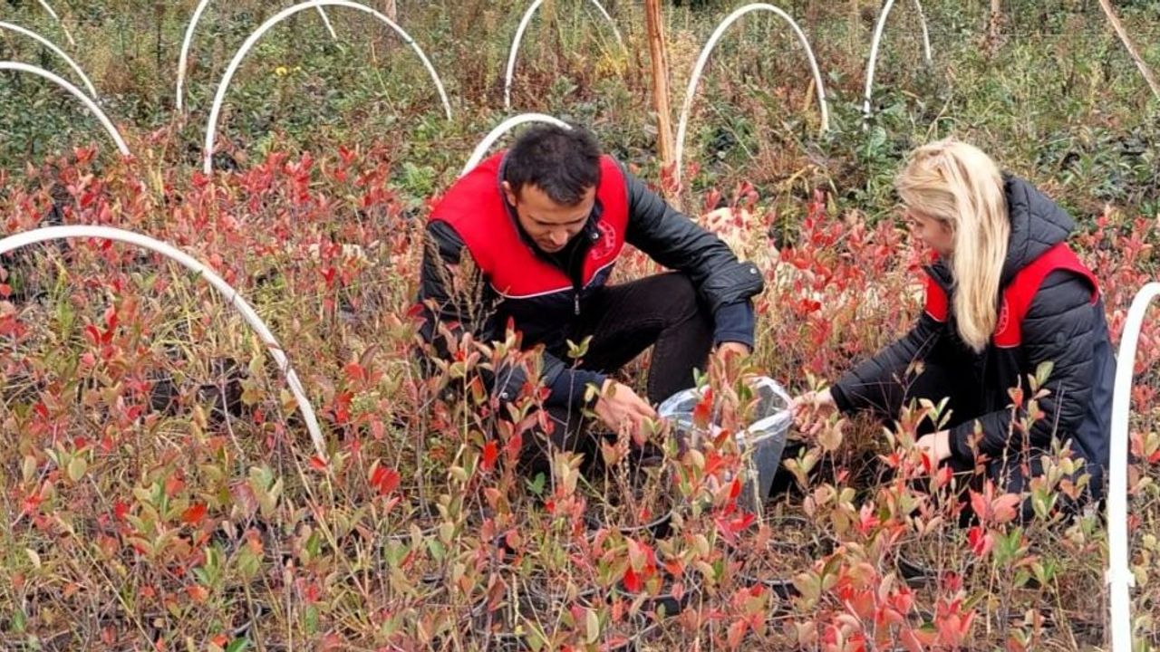 Ekipler Çalışmalarını Sürdürüyor