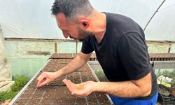 Lüleburgaz Belediyesi'nin Atalık Tohum Projesi Yeşeriyor