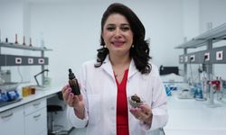 Solunum yolu hastalıklarına karşı propolis önerisi