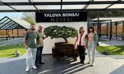 Türkiye’nin ilk bonsai müzesi bayramda ilgi gördü