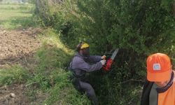 Çakıllı Belediyesi'nden Çiftçilere Destek