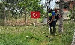 Kale Bölgesinde Temizlik ve Bakım Çalışmalarına Başladı