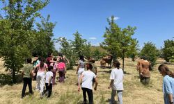 Kırklareli’nde koruma altındaki çocuklara Aşağıpınar gezisi