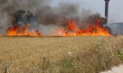 Çanakkale Valiliği’nden hava sıcaklığı ve orman yangını uyarısı