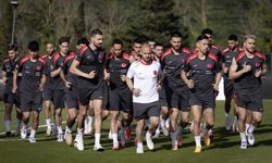 A Milli Futbol Takımı, Hannover'de halka açık antrenman yapacak