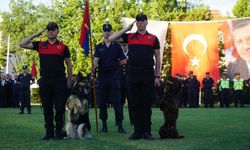 Jandarmanın Taka ve Yama isimli köpekleri gösteri yaptı