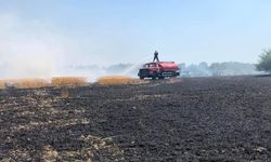 Lüleburgaz’da tarla yangını korkuttu