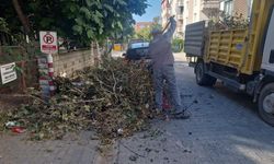 Lüleburgaz Belediyesi Ekiplerinden Yoğun Çalışma