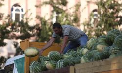 Tarlada kalan karpuz, Bursalılara ücretsiz dağıtıldı