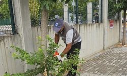 Lüleburgaz Belediyesi’nden Ot Biçme Çalışmaları