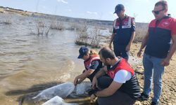 Pınarhisar'da barajlara balık bırakıldı