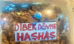 Dibek Dövme Haşhaş İlgi Odağı Oldu