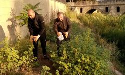 Başkan Yayla'dan Çevre Temizliği Çağrısı