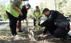 Lüleburgaz’da Ihlamur Fidanı Toprakla Buluştu