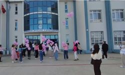 Babaeski’de pembe balonlar gökyüzüne bırakıldı