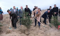 Kırklareli’nde Fidanlar “Geleceğe Nefes” İçin Toprakla Buluştu