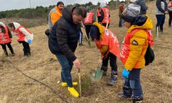 Lüleburgaz’da Fidanlar Toprakla Buluştu