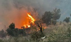 Evlere sıçrayan yangına müdahale için çevre illerden destek istendi