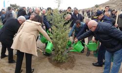 Çanakkale'de Milli Ağaçlandırma Günü çerçevesinde 34 bin 500 bin fidan toprakla buluştu