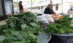 Karadeniz'deki karalahananın faydaları bilimsel olarak kanıtlandı