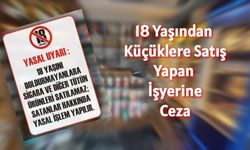 Tekirdağ'da yasa dışı alkol satışı yapan işletmelere işlem uygulandı