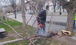 Ekipler Kuvvetli Rüzgara Karşı Sahada