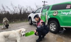 Kırklareli’nde jandarma ekipleri sokak hayvanların unutmadı