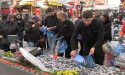 Edirne'de hamsi bolluğu: Kilosu 100 liraya düştü