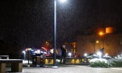 Edirne'de lapa lapa yağan kar, kartpostallık görüntüler oluşturdu