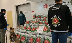 Edirne'de tırda 870 kilo skunk ele geçirildi