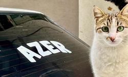 ‘Azer’ Sokağın Maskotu Oldu