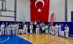 Kırklareli’nde Taekwondo İl Birinciliği Müsabakaları Tamamlandı