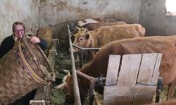 900 rakımlı kar altındaki köyde yaşama mücadelesi