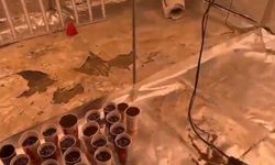 Tarım serası değil zehir imalathanesi