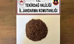 Tekirdağ'da jandarmadan uyuşturucu operasyonu: Çok sayıda madde ele geçirildi
