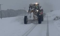 Tunceli'de 20 köy yolunu ulaşıma açma çalışmaları sürüyor