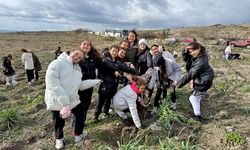 Çeşme’de yangın bölgesine hatıra ormanı kuruluyor