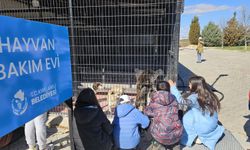 Kırklareli’nde Çocuklardan Hayvan Bakım Evine Ziyaret