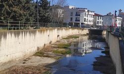 Değirmenaltı Deresi'nde kuraklık alarmı