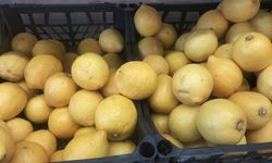 Limonlu Sudan Vazgeçemiyorlar