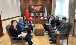 Vizeli Öğrencilerden Büyük Başarı